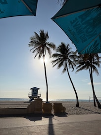 View from the boardwalk