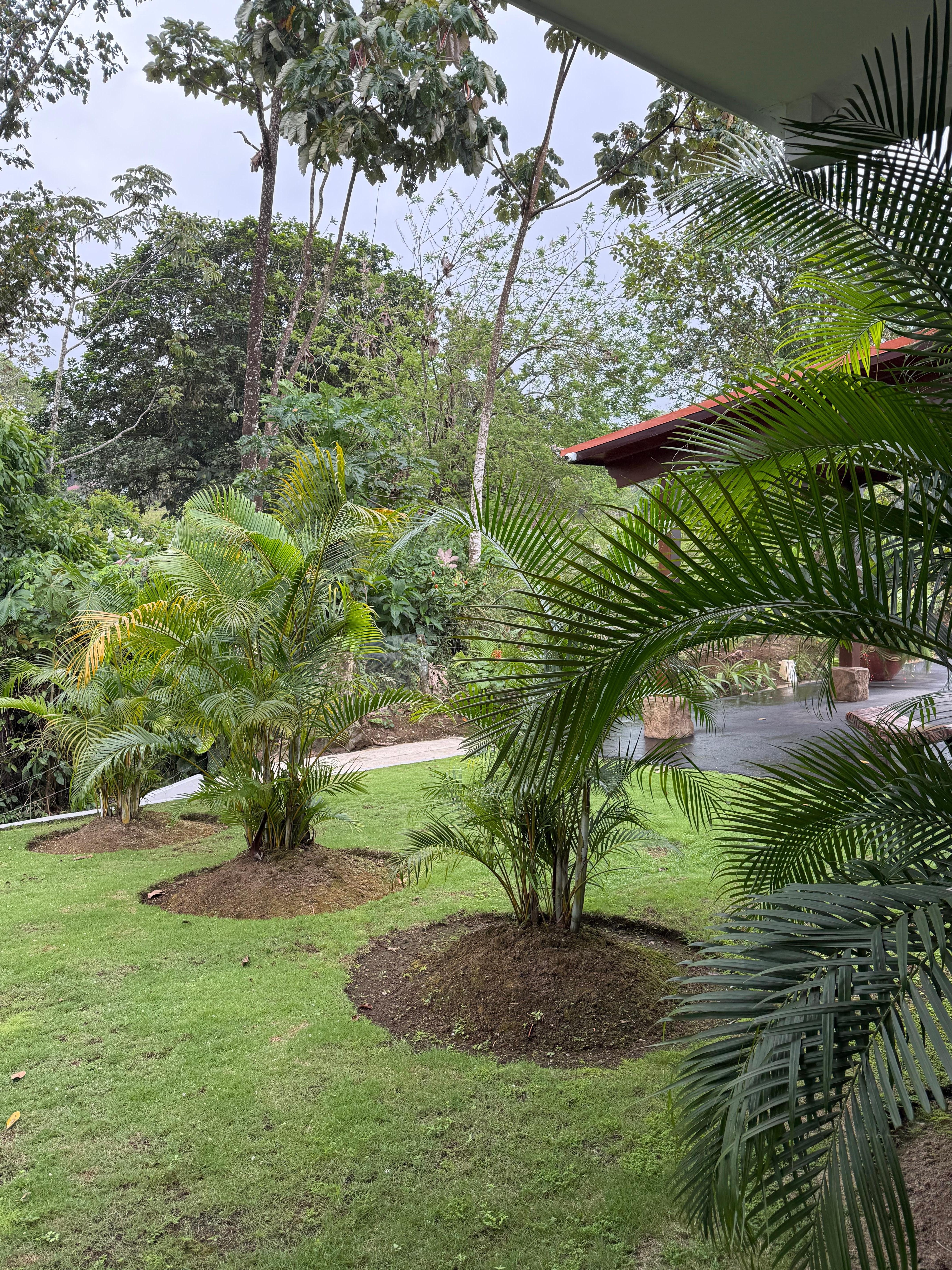 Private area extending from our large patio 