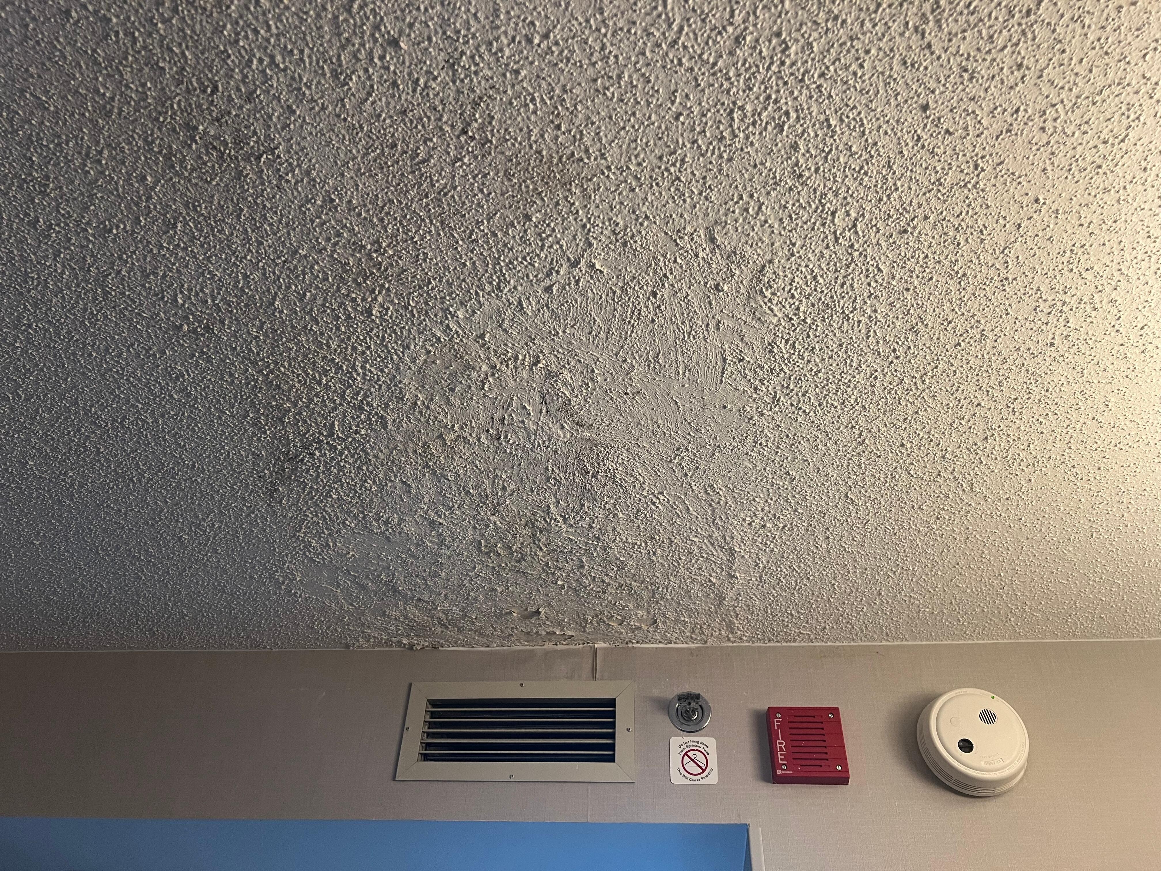 Damaged ceiling from past leak with appearance of black mold
