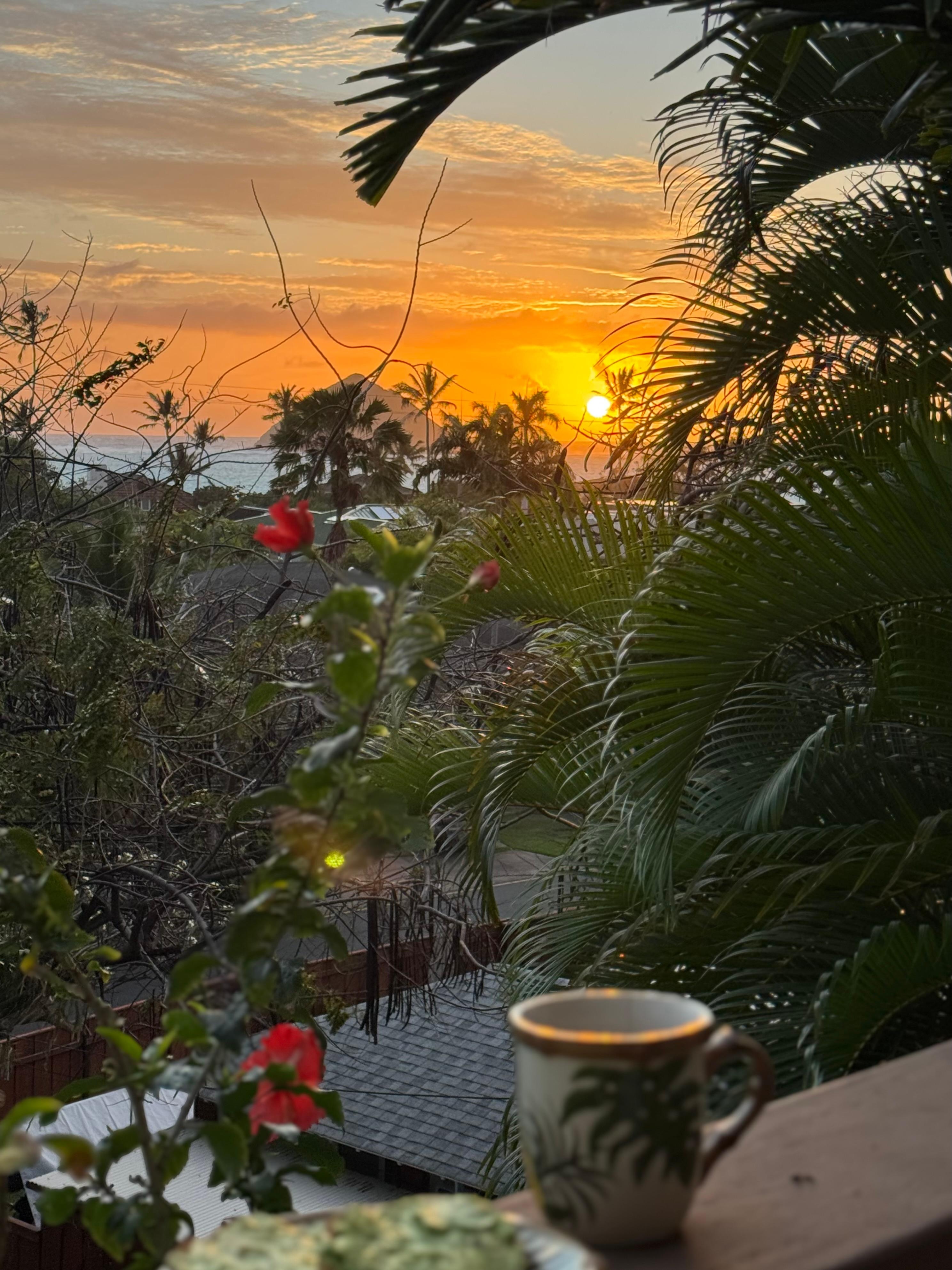 Coffee and sunrise from the deck