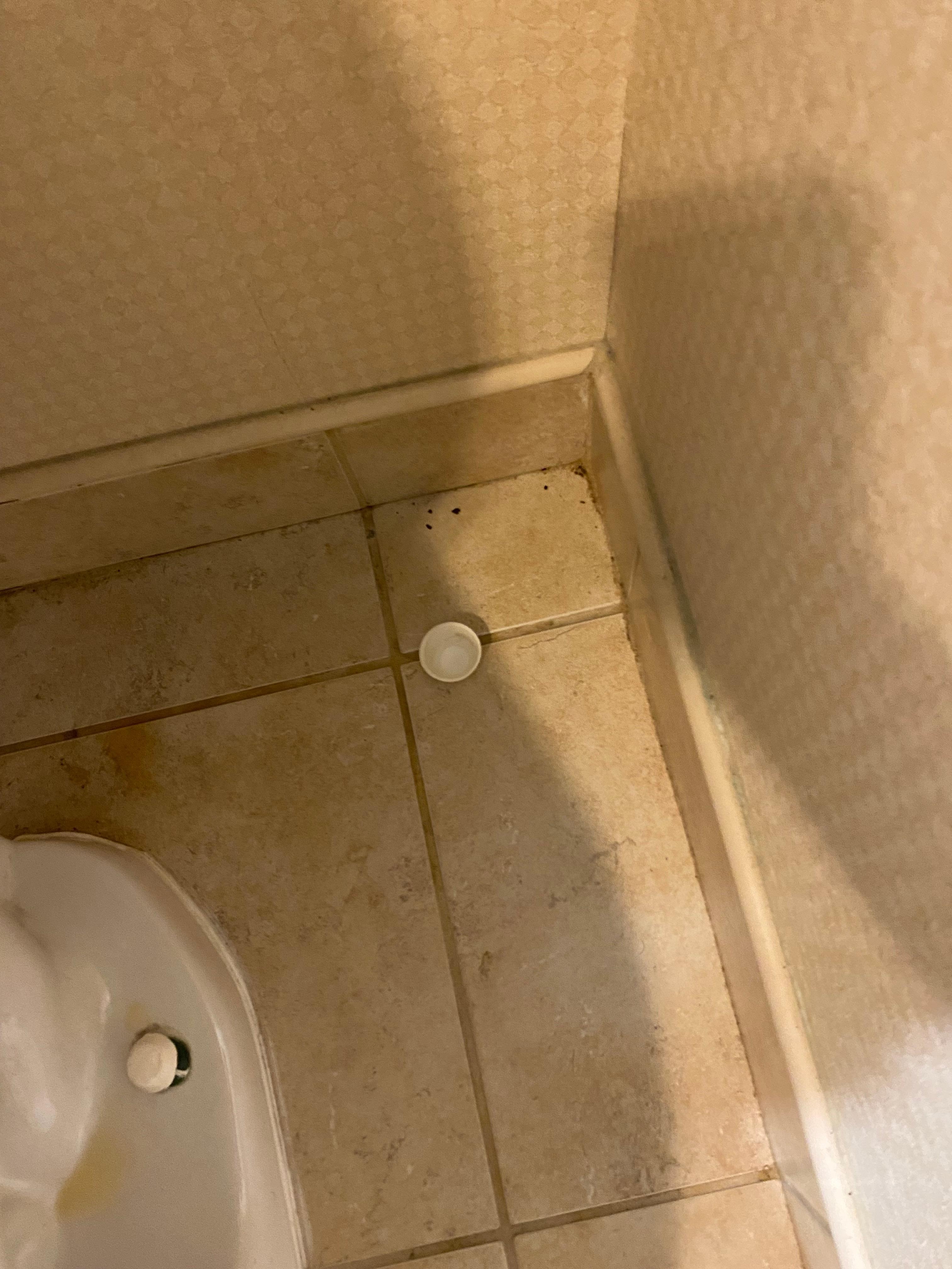 nasty bathroom