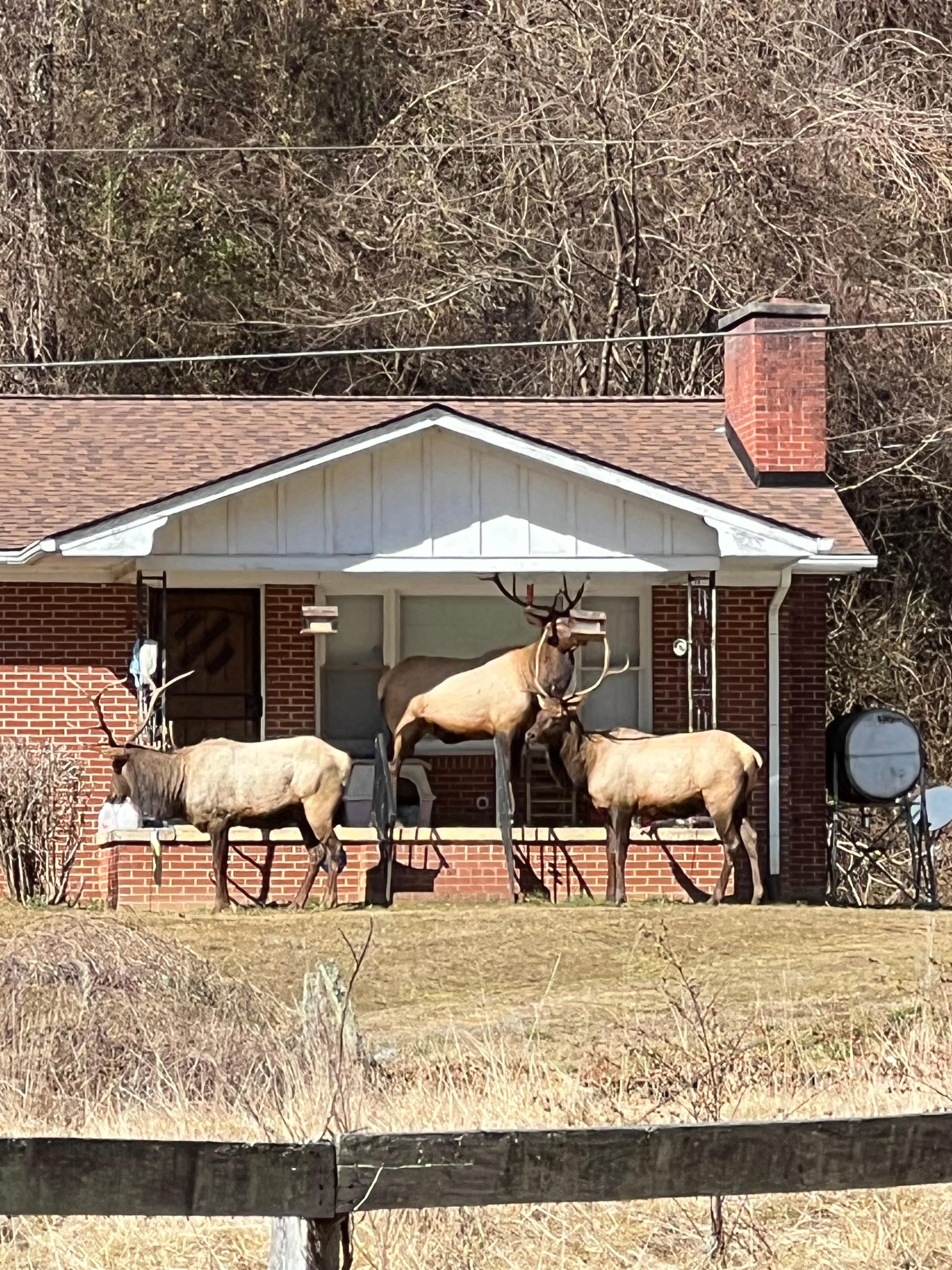 This house was at the end of the road close to where we were staying 