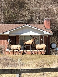This house was at the end of the road close to where we were staying