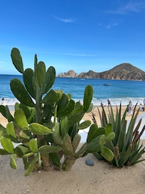 I loved that we could see the rocks from the property. The excursion we booked took us snorkeling by these same rocks.