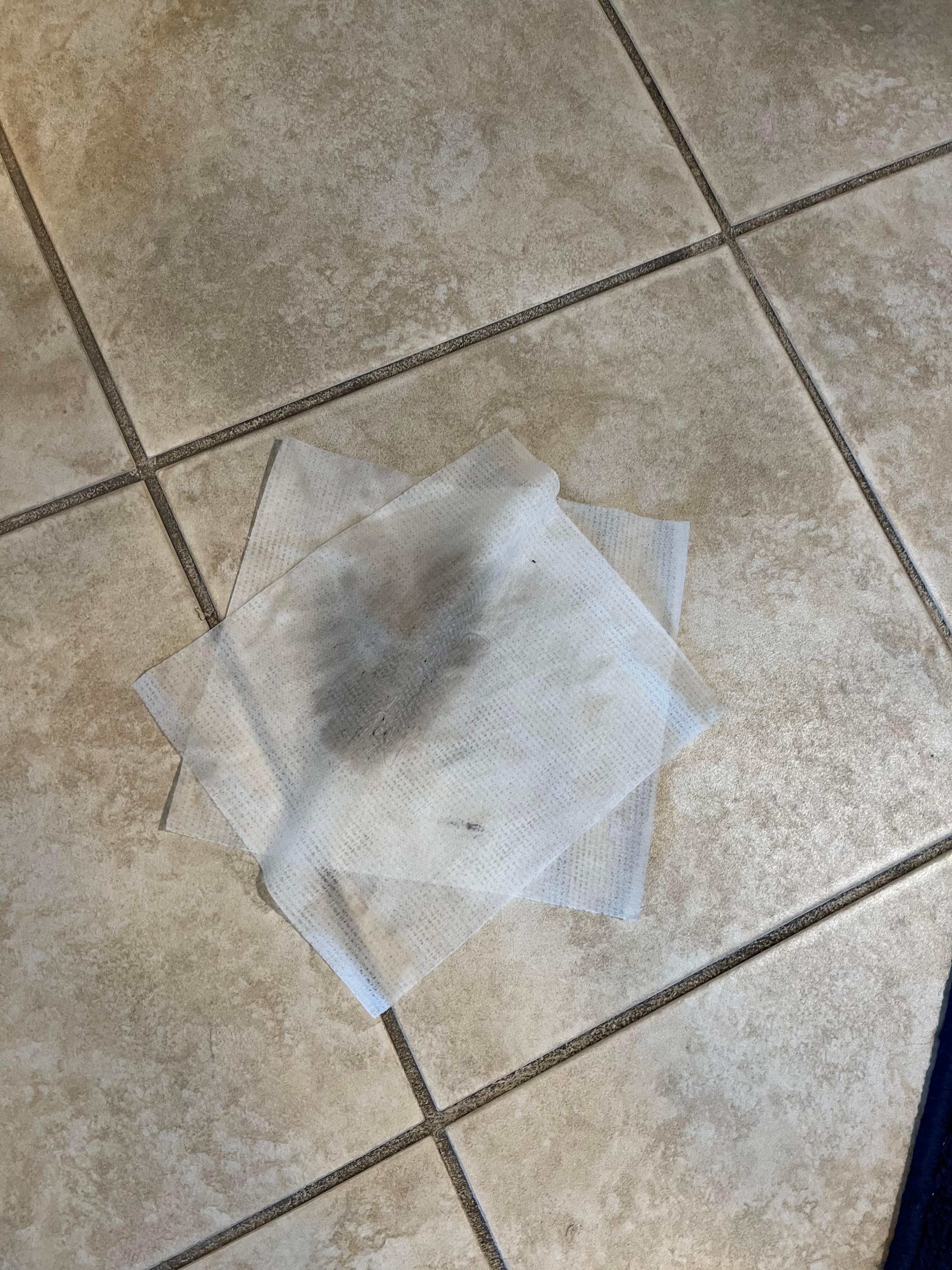 Floors are that dirty