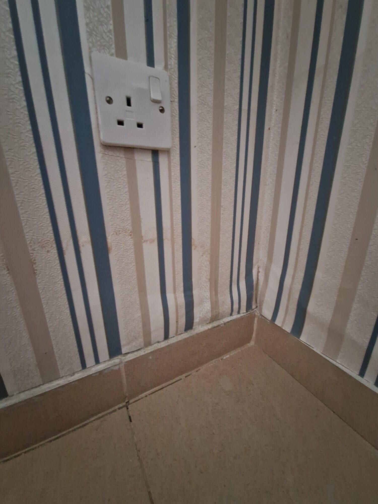 Damp up wall near socket- wallpaper loose 