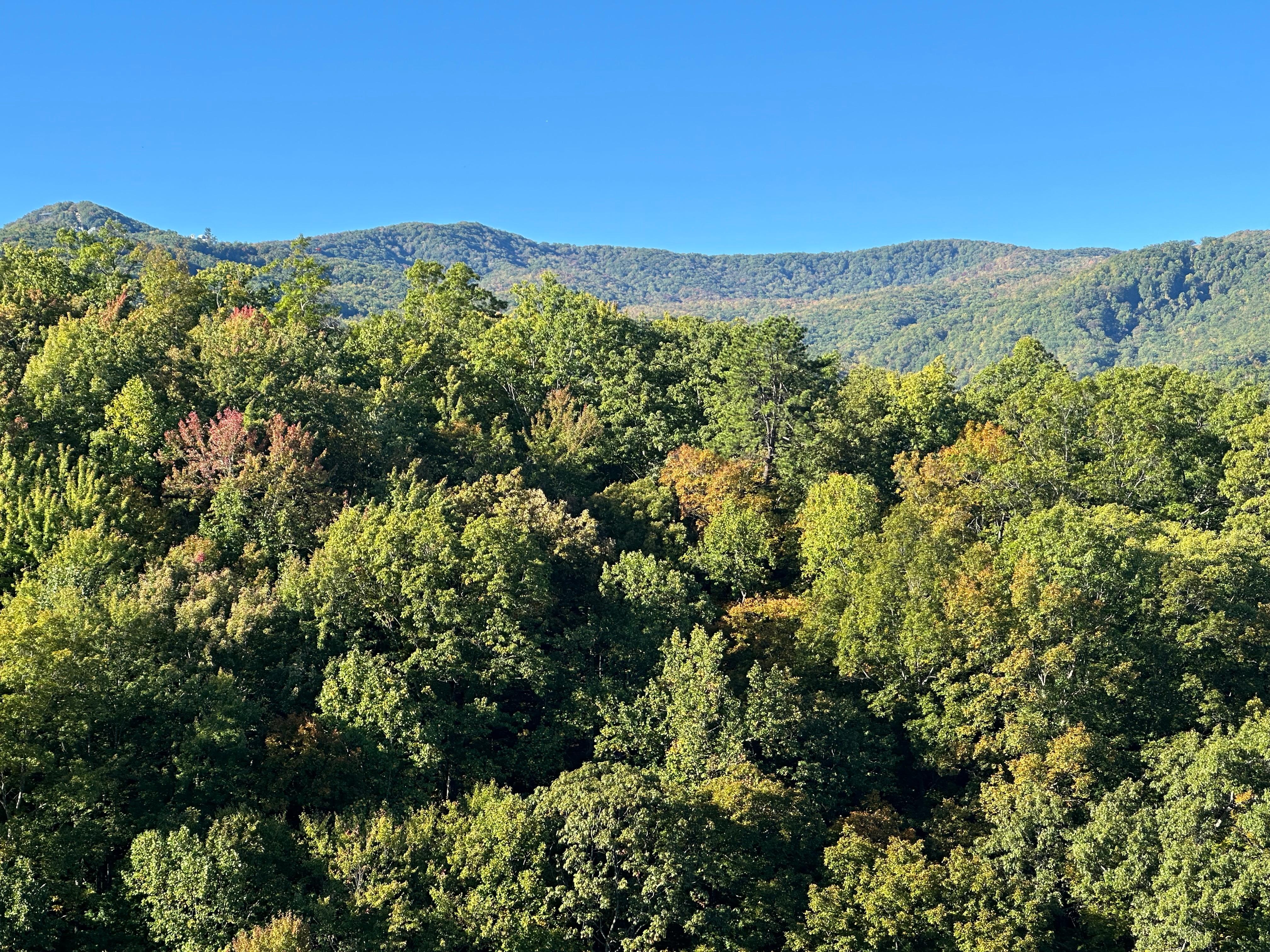 Views were great and started to see some change of color in the trees. 