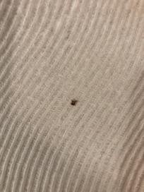 The one I killed!