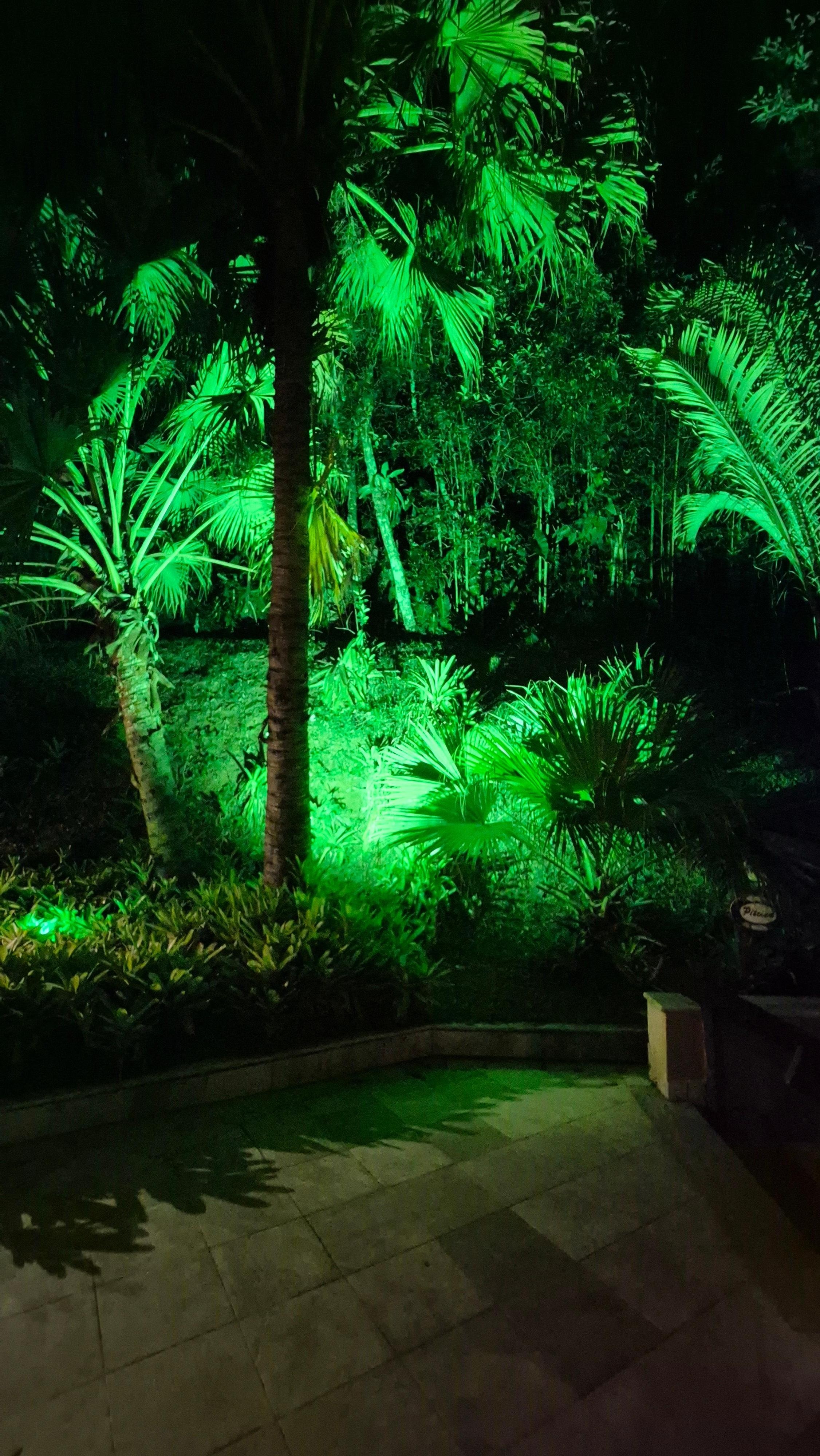 Uma noite espetacular. 