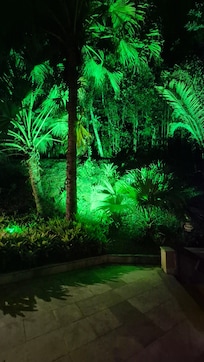 Uma noite espetacular.