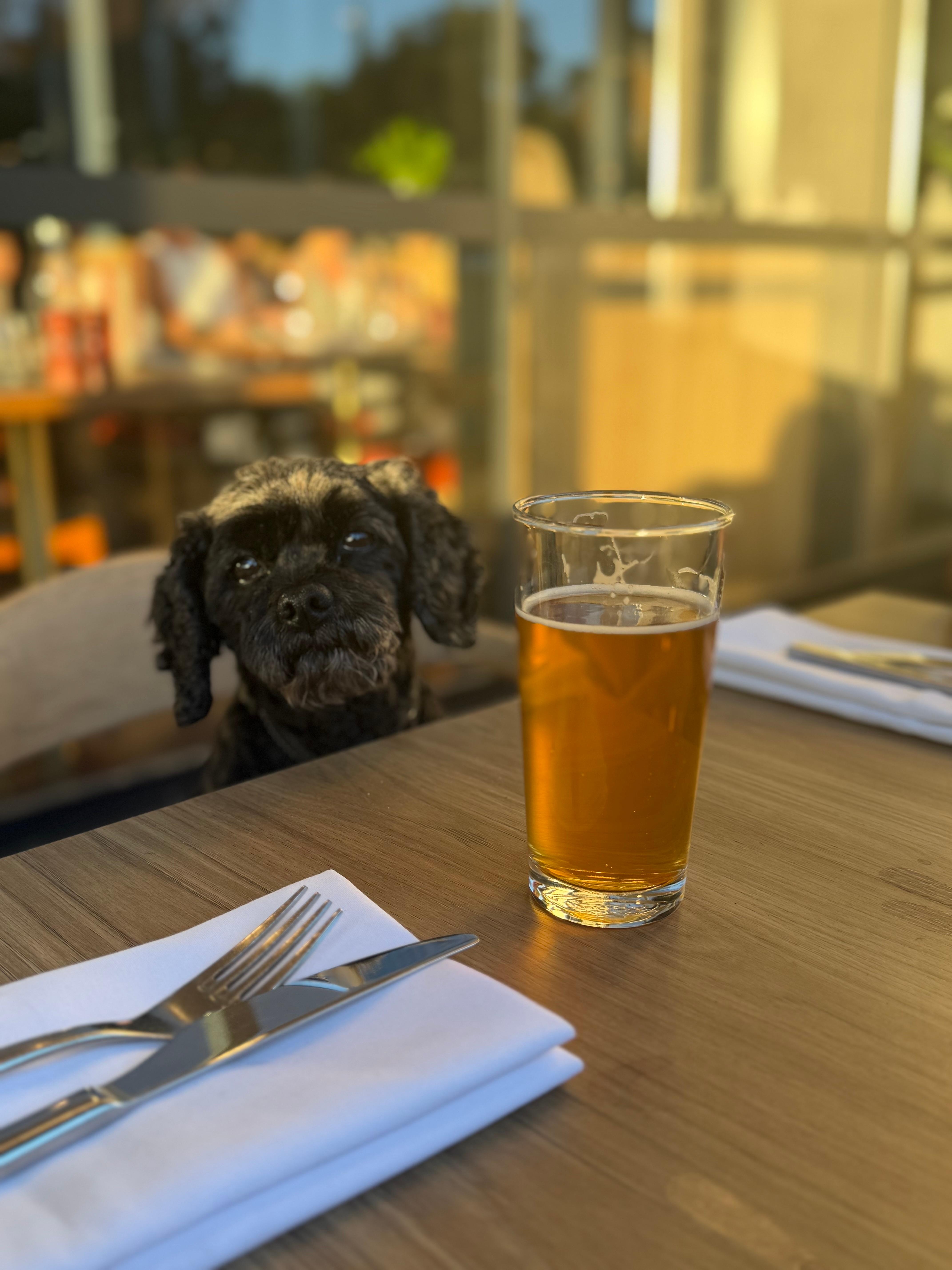 Summer vacay dinner and drinks!