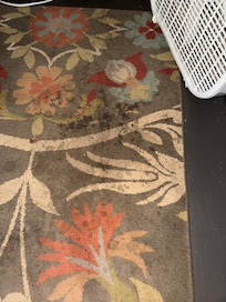 Downstairs bedroom rug was completely filthy