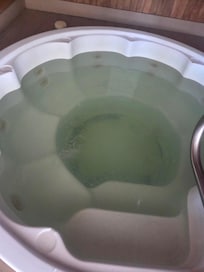 Filthy hot tub- oh, and the Jets didn't work, either- Not that I was going to get in.