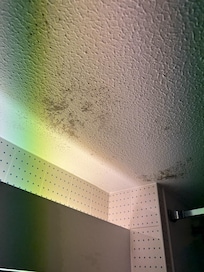 Bathroom roof