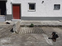 Die beiden haben es total genossen im Innenhof in der Sonne zu liegen.