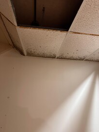 Hallway mold