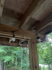 Old bird nest and more cobwebs.