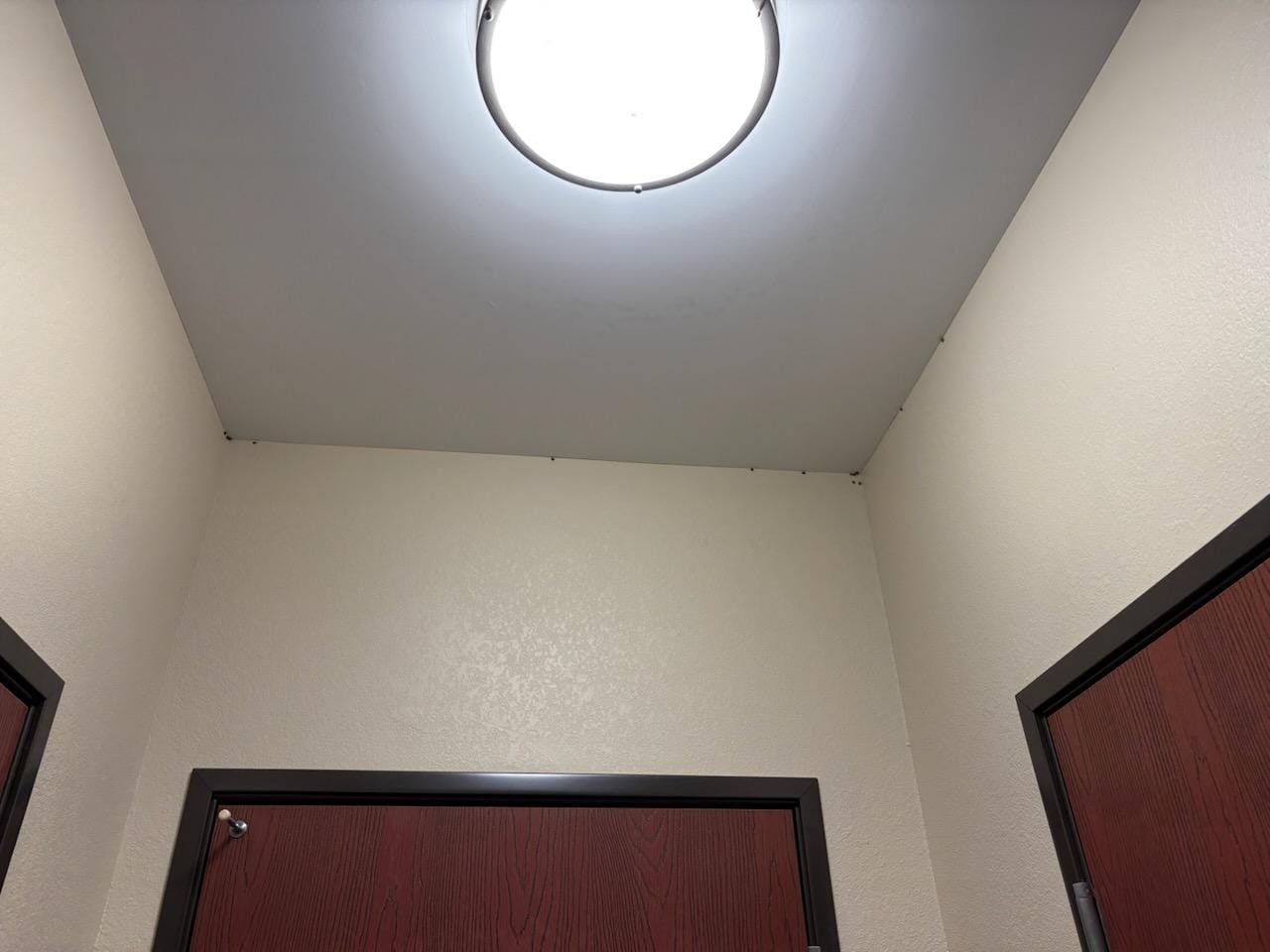 Lotsa critters crawling 