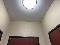 Lotsa critters crawling