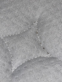 Bed bugs