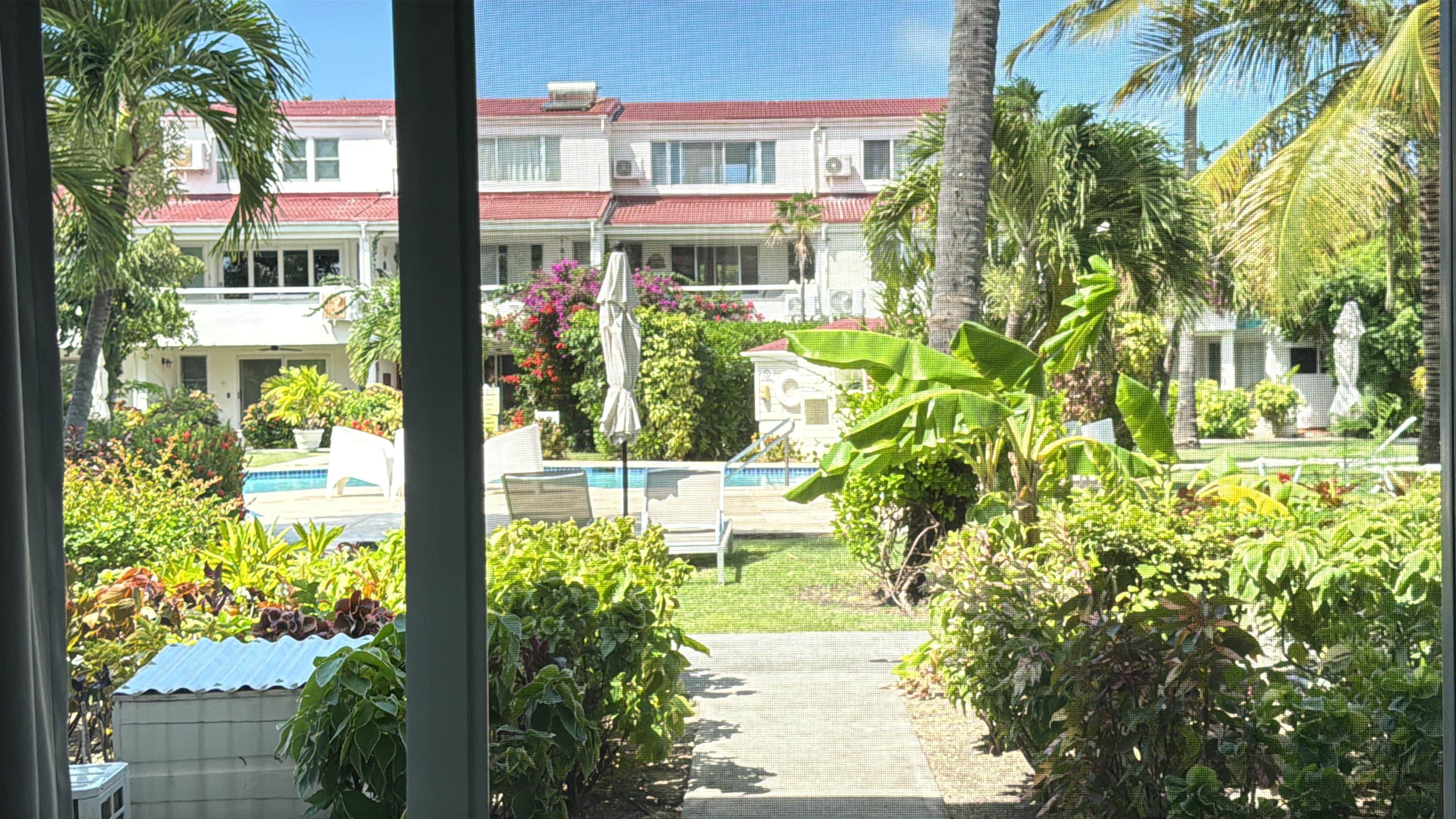 View from my room.