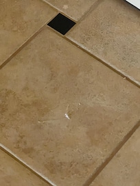 The not cleaned floor with garbage on it.