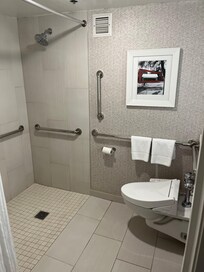A bidet and (not in frame), detachable shower head and fold down chair.