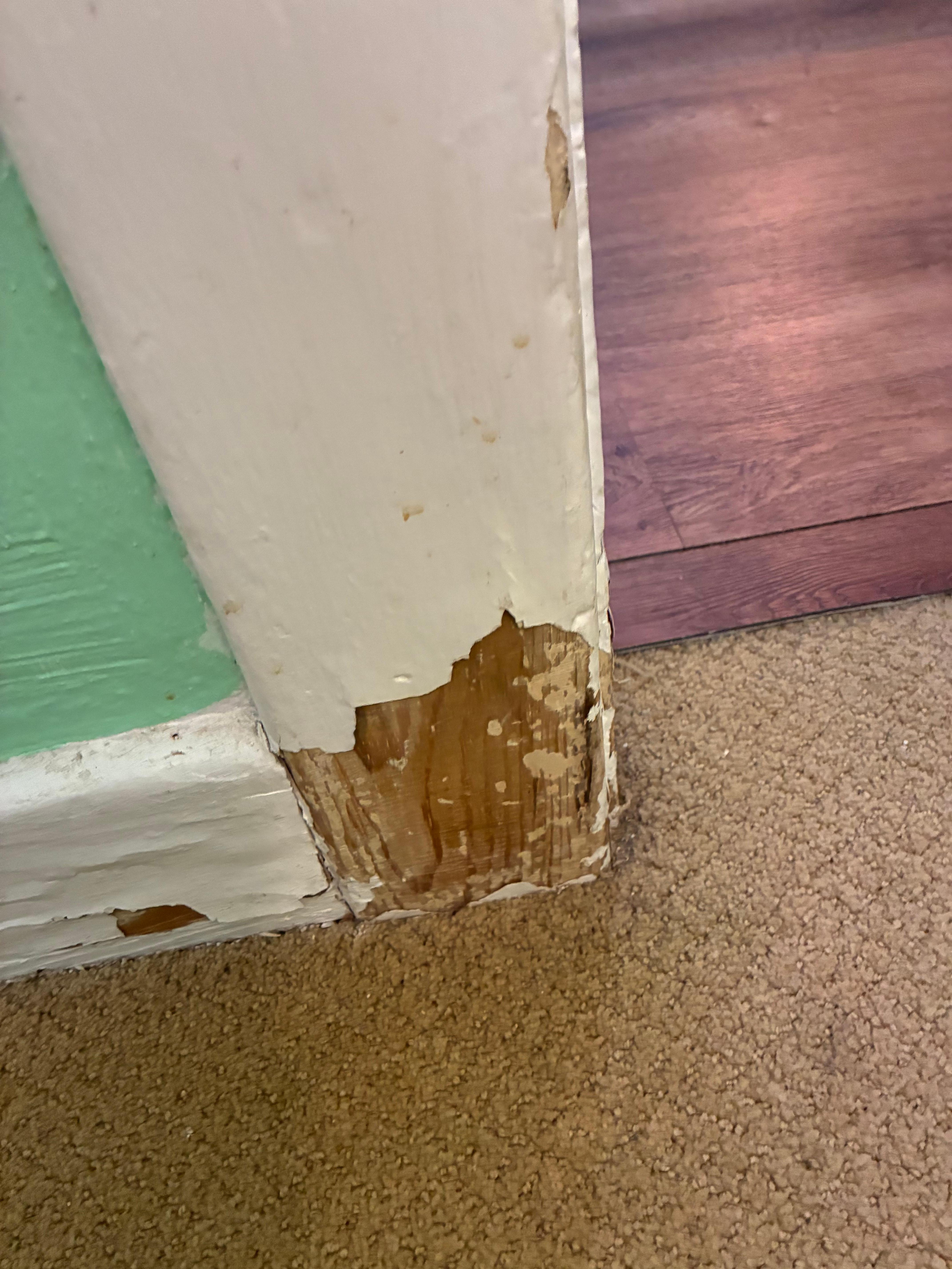 Pealing paint everywhere.  Could be asbestos hazard with age of home