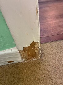 Pealing paint everywhere. Could be asbestos hazard with age of home