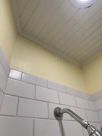 mold on the walls in the hallway shower stall