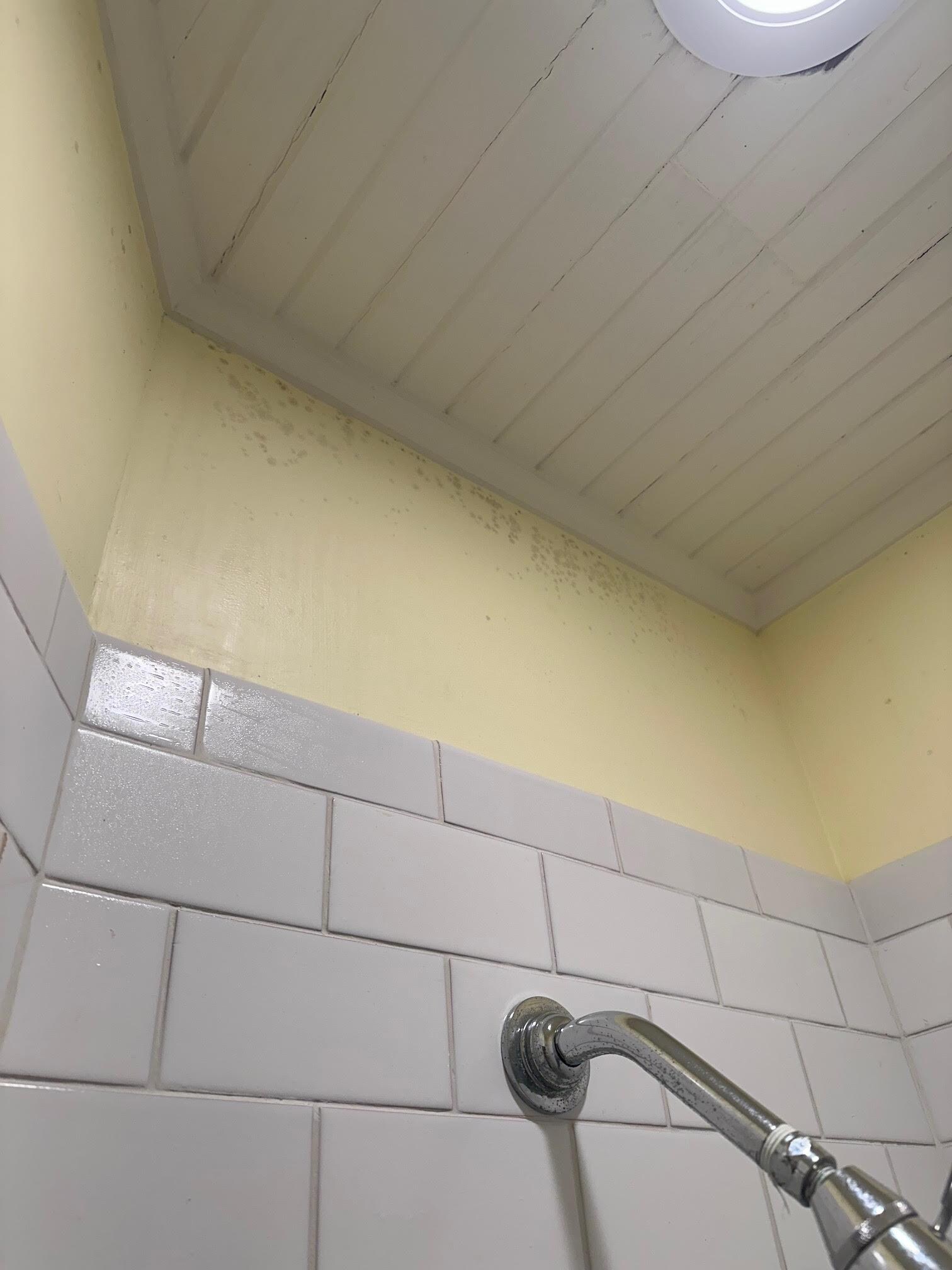 mold on the walls in the hallway shower stall