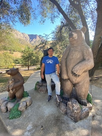 Look for the bears!