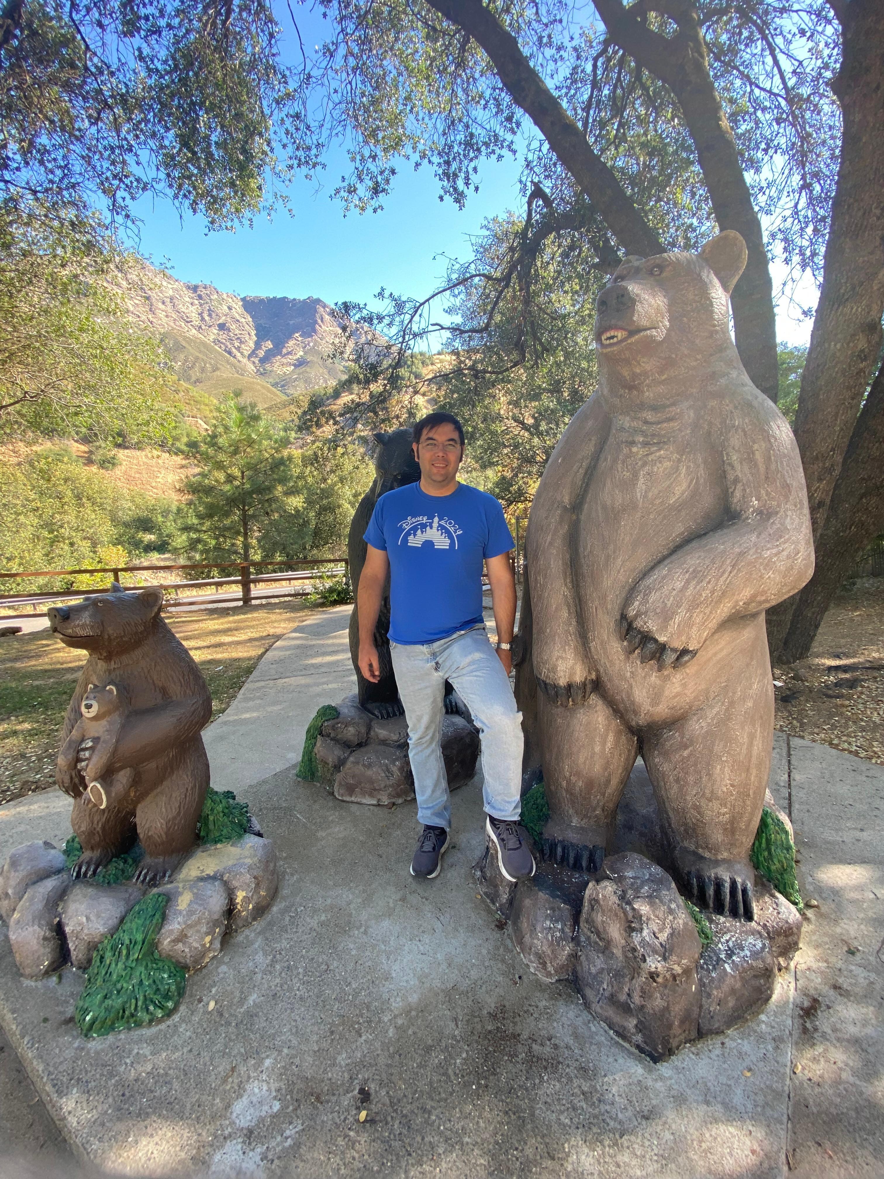 Look for the bears!
