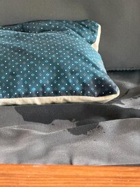 Ziege pinkelt auf Sessel
