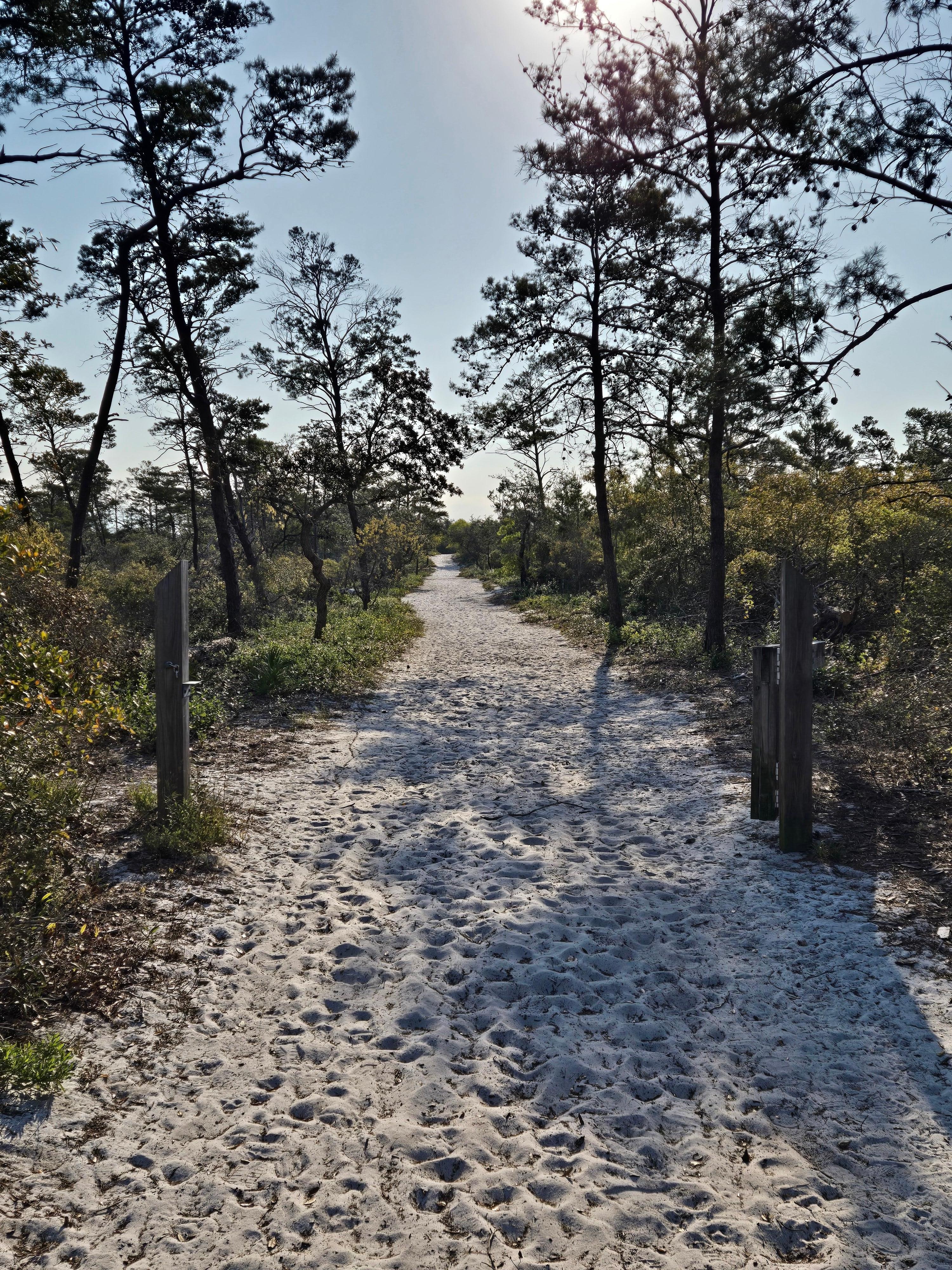 Naval Station Live Oaks Trail