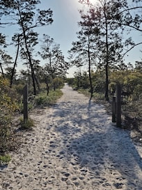 Naval Station Live Oaks Trail