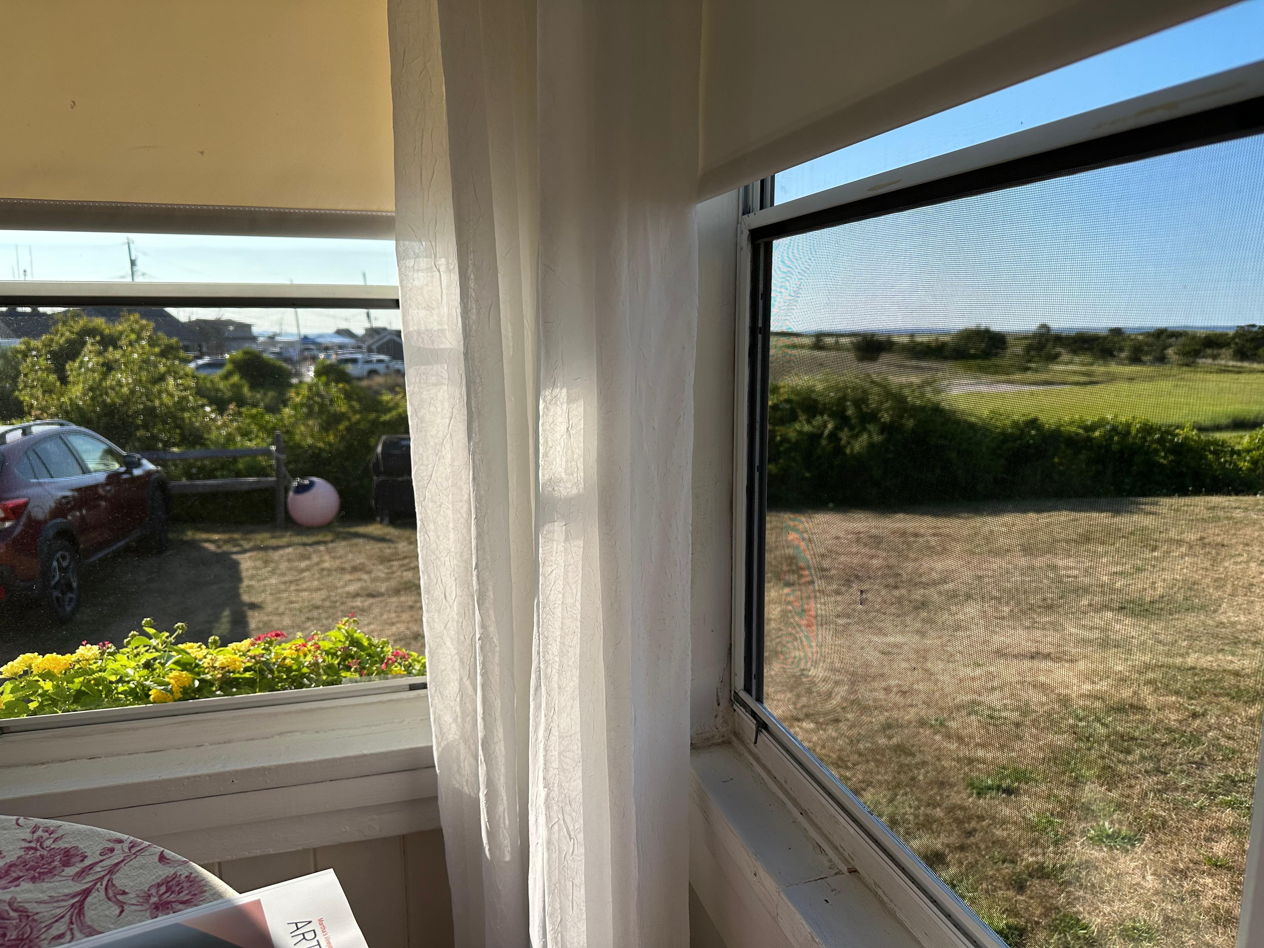   View from living area.