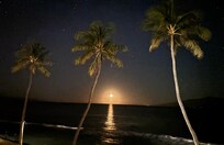 Dark sky--sometimes moonlit, sometimes starry.