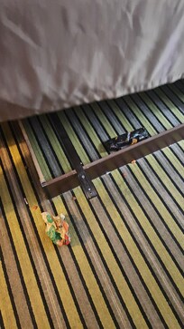 Old burrito under bed