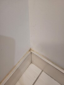More gross baseboards