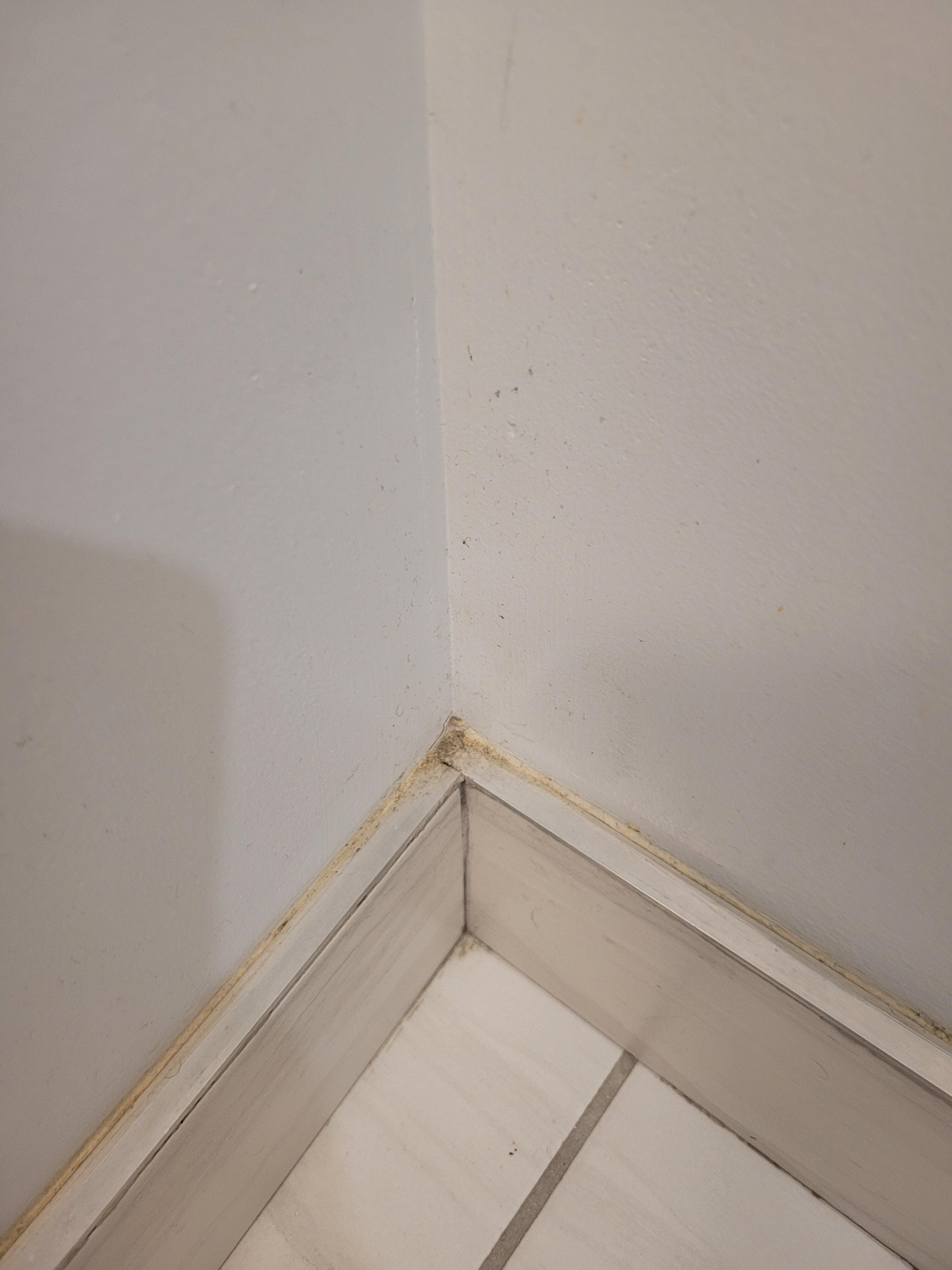 More gross baseboards
