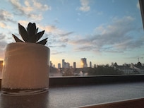Shower view of Houston