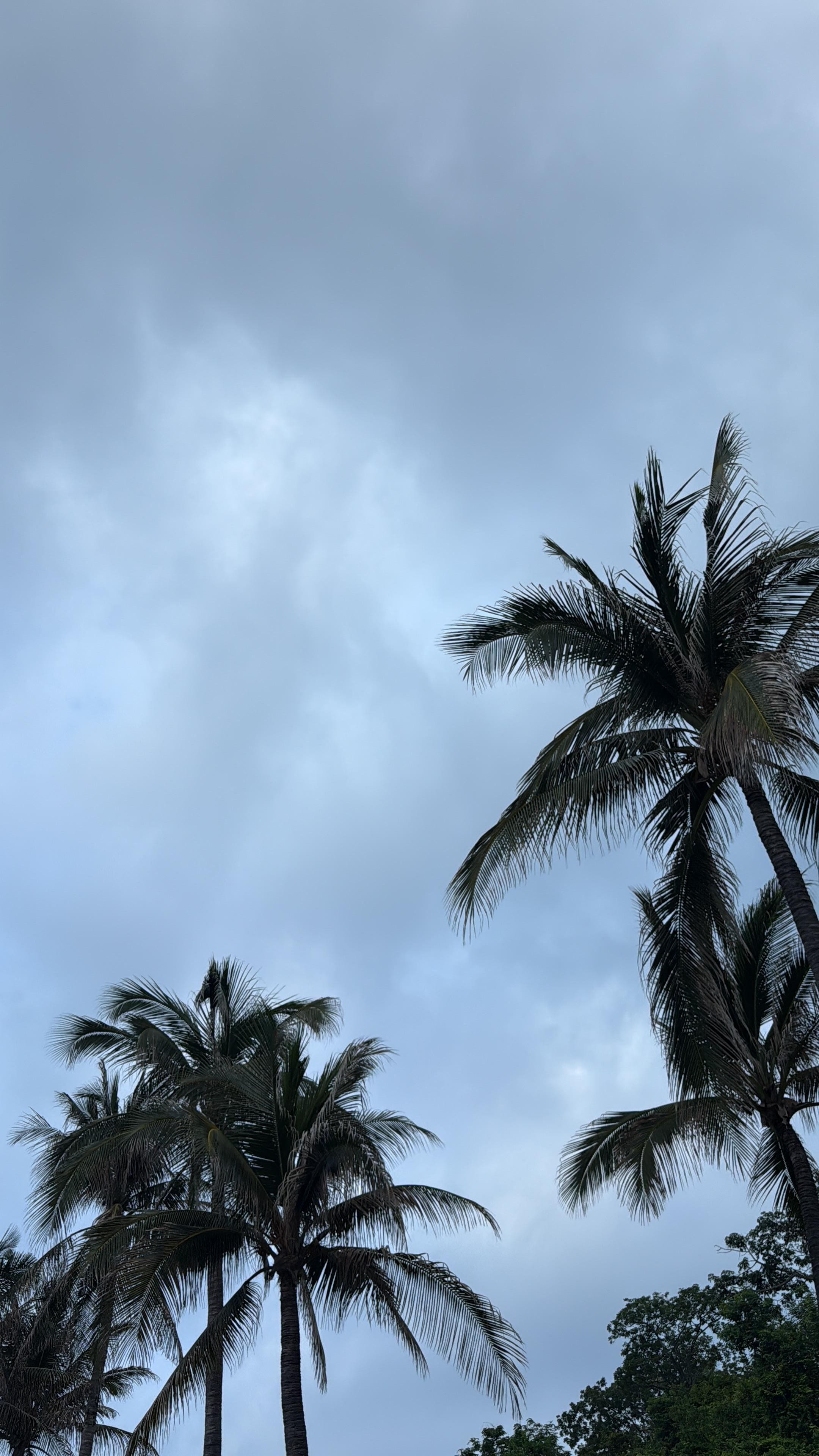 Día no muy soleado pero clima agradable 