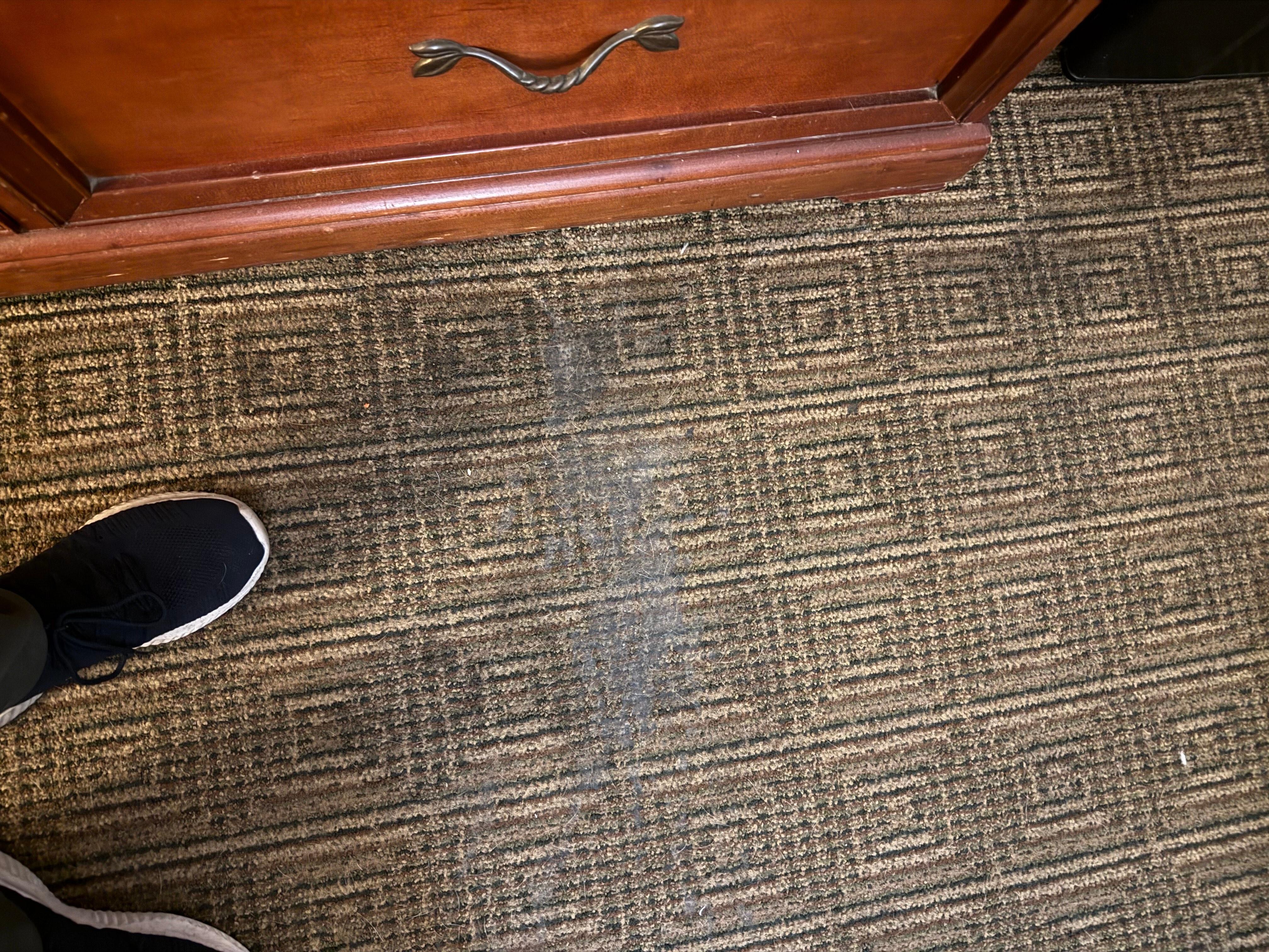 Moldy carpet under leak