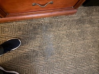 Moldy carpet under leak