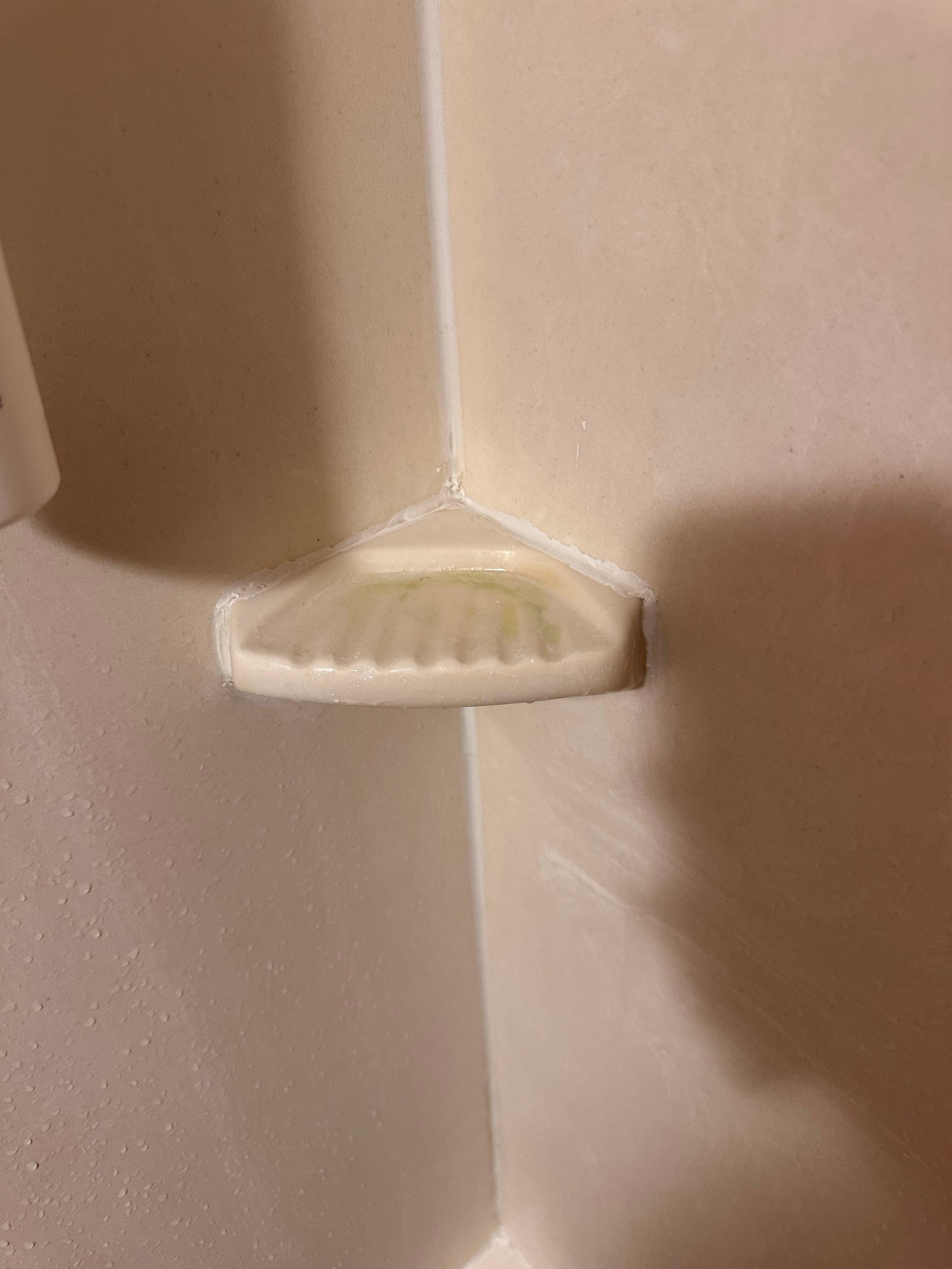 Soap scum from previous occupants 