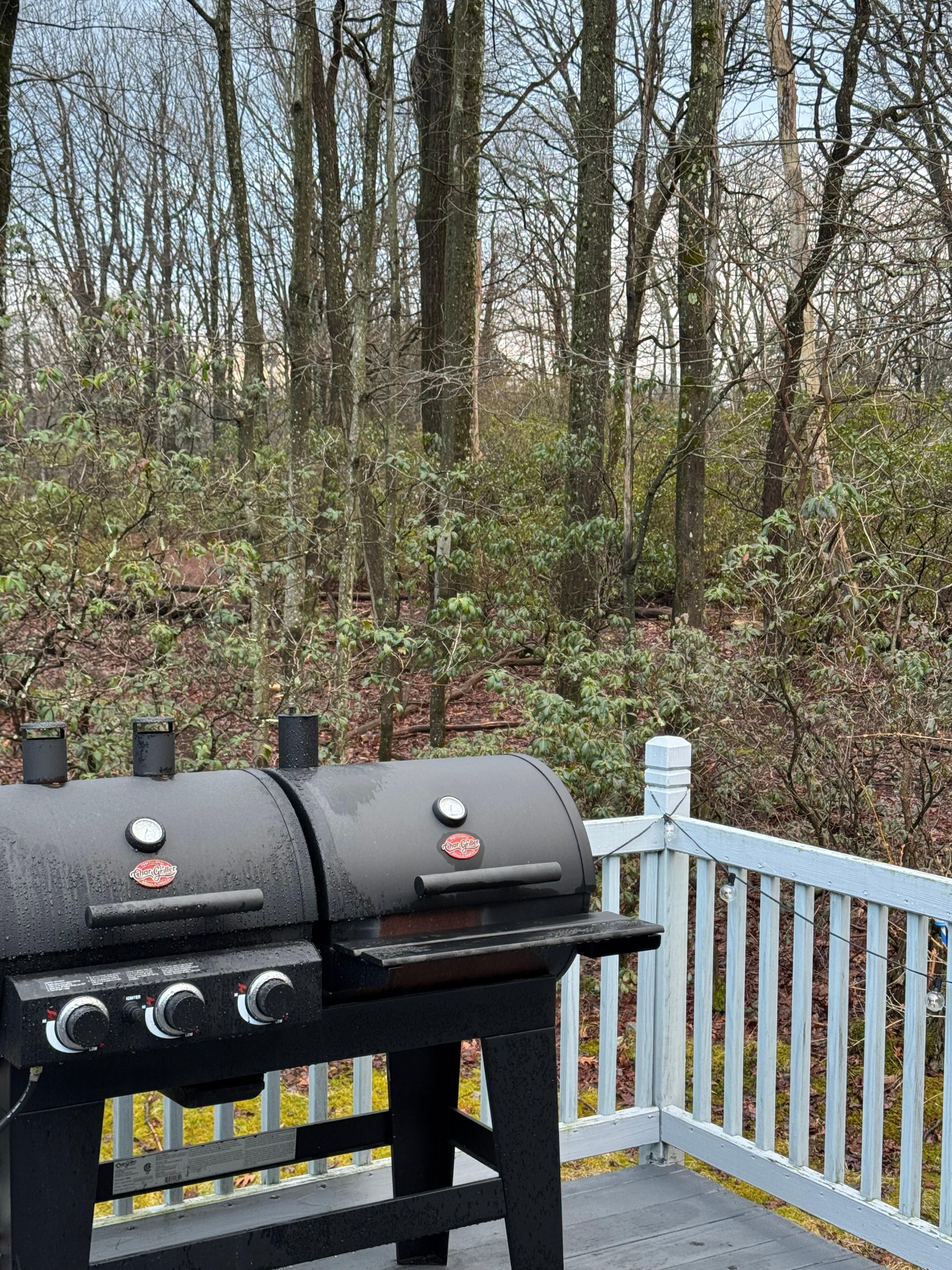 Outside from the deck