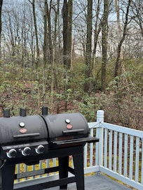 Outside from the deck