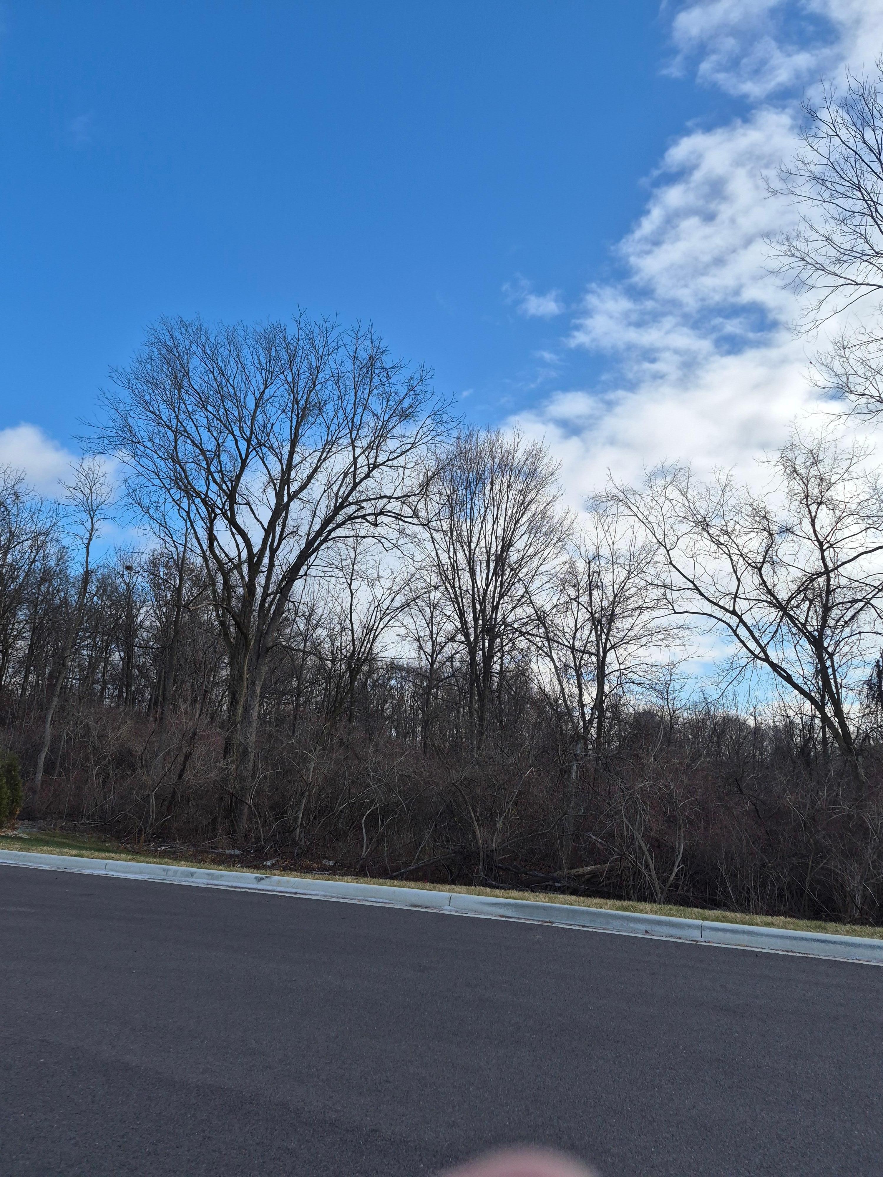 Back of building view.