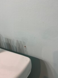 Blood stain